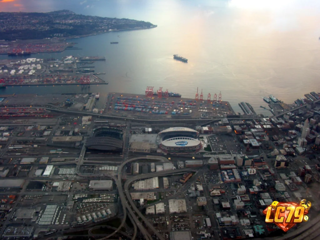 Seattle Stadium USA 1-4 Belgium World Cup 2026