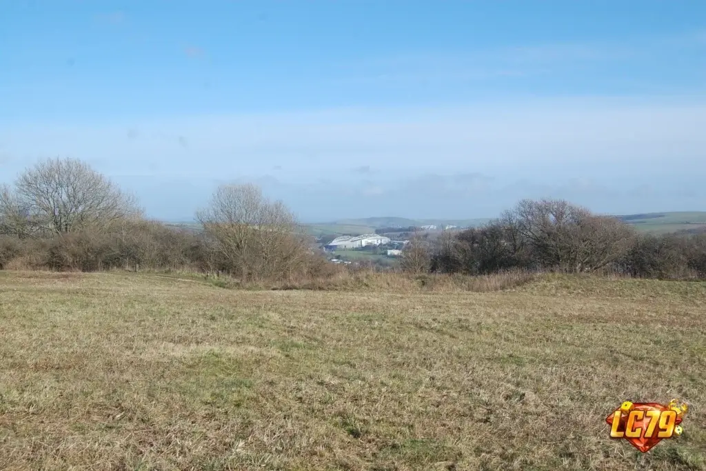 Amex Stadium của Brighton, ảnh Wikimedia Commons đã đóng watermark LC79