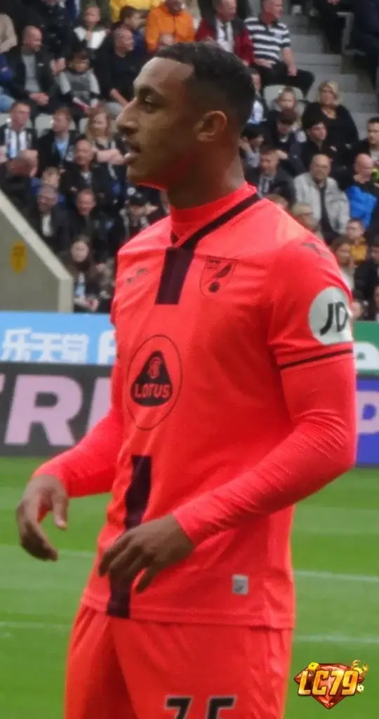 Adam Idah, ảnh Wikimedia Commons đã đóng watermark LC79